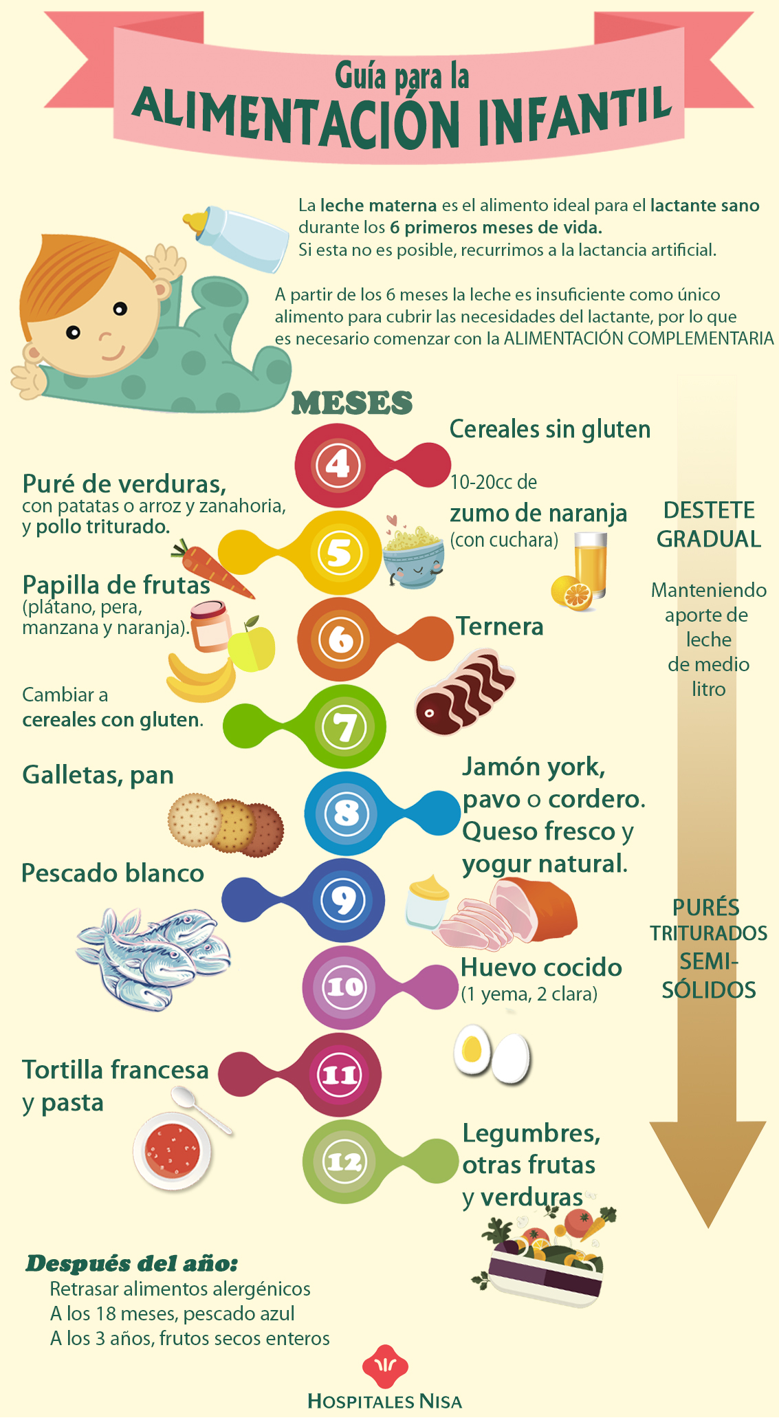 Tabla De Introducción De Alimentos En El Bebé 5903