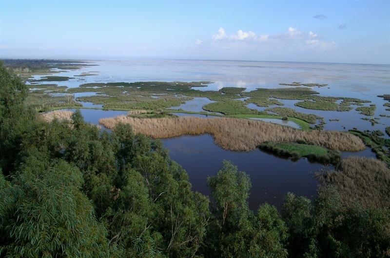 Maravillas naturales Doñana
