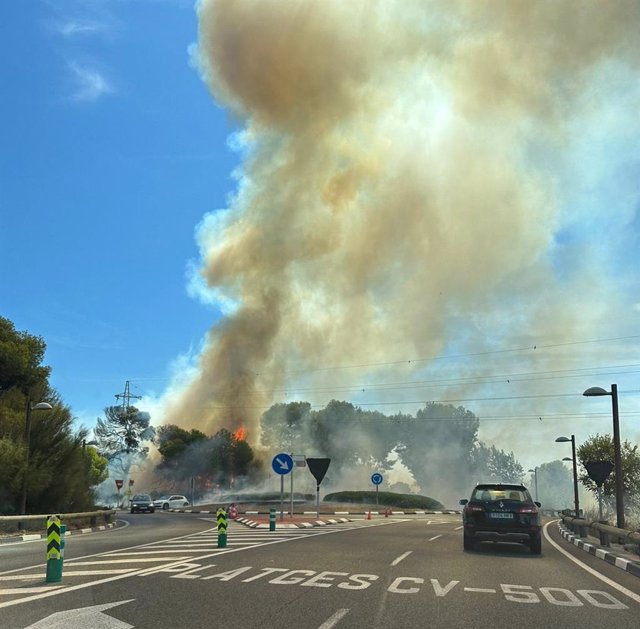 Controlado el incendio forestal declarado en El Saler que no afectará