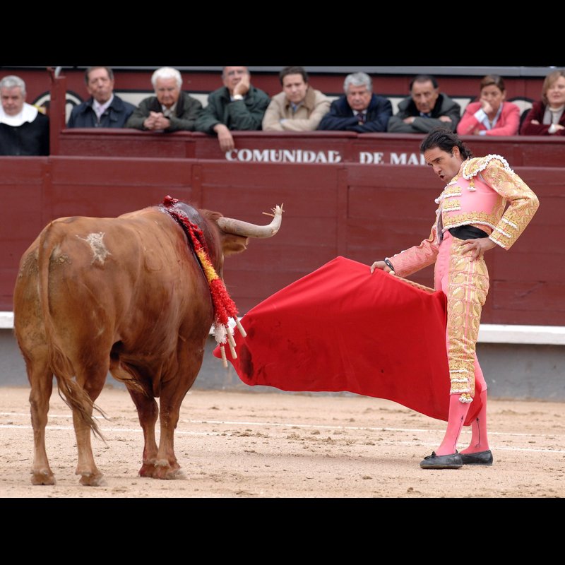 Los toros, más populares que la Semana Santa