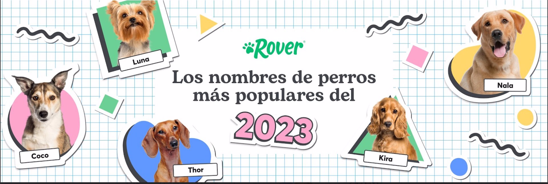 Los nombres de perros más populares de 2023