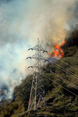 Incendio, Fuego, Llamas En El Pirineo De Lleida