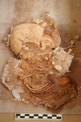 Imagen del feto encontrado en las excavaciones en La Vila Joiosa