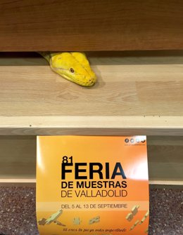 Presentación de la 50 Feria de Valladolid
