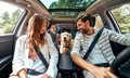 10 trucos para un viaje en coche cómodo y seguro con niños