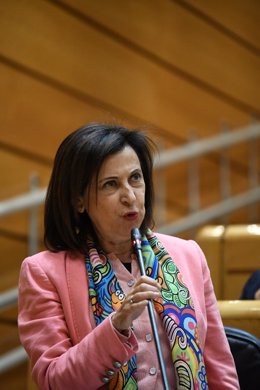 La ministra de Defensa, Margarita Robles, interviene en una sesión de control al Gobierno en el Senado