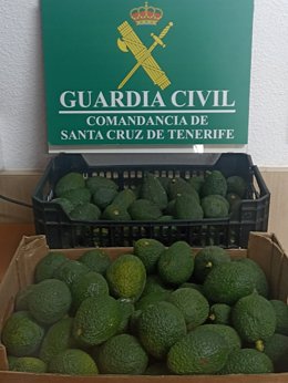Agentes de la Guadia Civil del SEPRONA incautan 29 kilos de aguacates que se vendían de forma irregular en un establecimiento comercial en el municipio de El Sauzal, en Tenerife