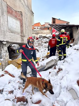 Un bombero de la Diputación de Córdoba busca con la ayuda de un perro, bajo los escombros y la nieve, a personas sepultadas a causa del terremoto en Turquía, junto a más efectivos de BUSF.