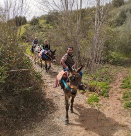 Miguel Ángel García encabeza el recorrido, a lomos de mulos, de una de las rutas por el Parque Natural de Cardeña-Montoro.