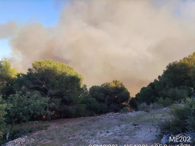 Incendio en el paraje La Fontanilla de Yunquera