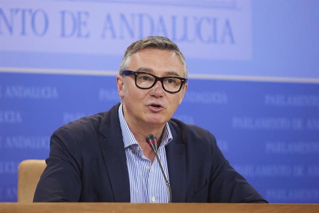 El portavoz del Grupo Parlamentario Vox, Manuel Gavira