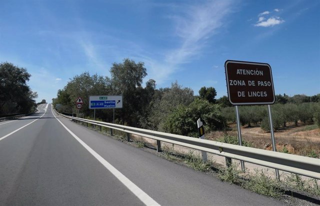 Señal de alerta de paso de linces en una carretera de Huelva.