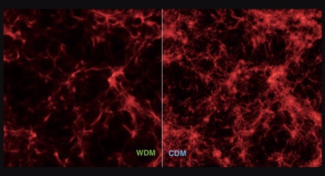 Distribución de materia primordial en modelos cosmológicos con materia oscura caliente (WDM, izquierda) y materia oscura fría (CDM, derecha).