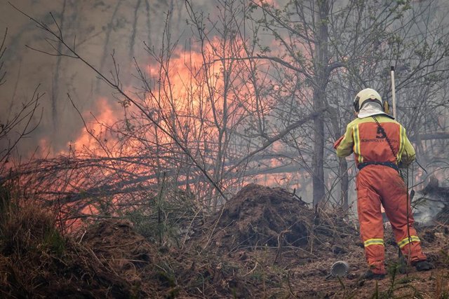 Bomberos de Asturias treabajan en el incendio de los concejos de Valdes y Tineo, a 30 de marzo de 2023, en Asturias (España). La consejera de Presidencia del Gobierno asturiano, Rita Camblor, se ha referido este jueves a los numerosos incendios forestales