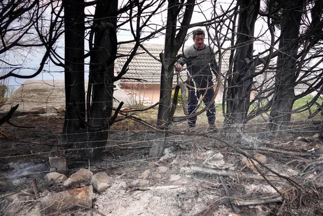 Un hombre retira las ramas quemadas en el incendio de los concejos de Valdes y Tineo, a 30 de marzo de 2023, en Asturias (España). La consejera de Presidencia del Gobierno asturiano, Rita Camblor, se ha referido este jueves a los numerosos incendios fores