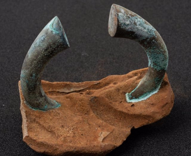 Detalle de un brazalete de manilla hormigonado en parte de una olla de un comerciante flamenco excavado por la Sociedad de Ciencias Aranzadi frente a Getaria. El barco, perdido en 1524, había sido fletado por comerciantes portugueses de Lisboa.