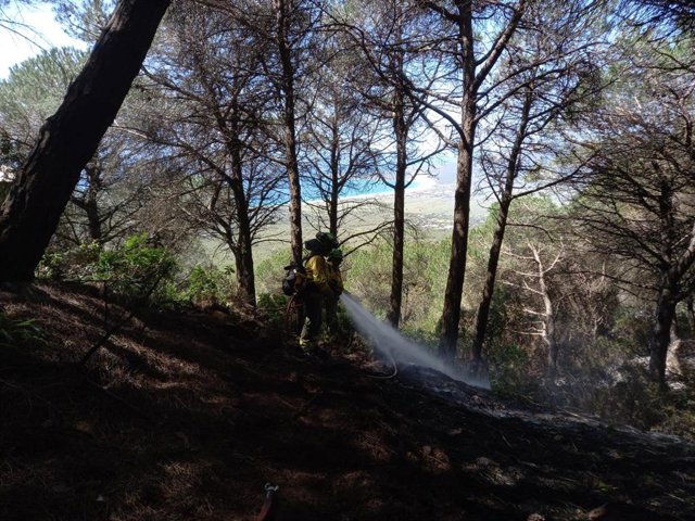 Un bombero forestal en el incendio de Tarifa