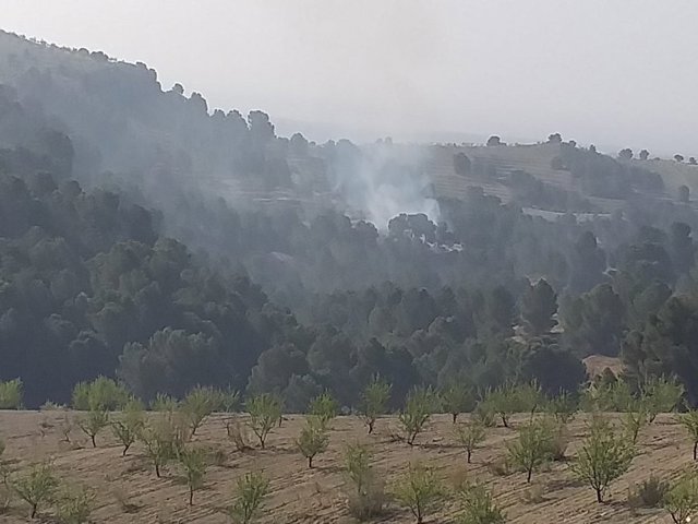 Incendio en Cortes de Baza
