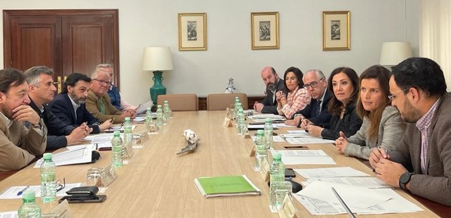 Comisión de seguimiento del Aepsa.