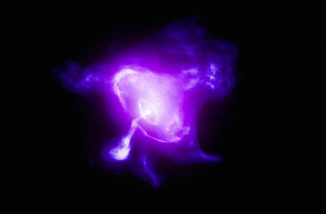 Esta imagen de la Nebulosa del Cangrejo combina datos del Explorador de polarimetría de rayos X de imágenes (IXPE) de la NASA en magenta y el Observatorio de rayos X Chandra de la NASA en púrpura oscuro.