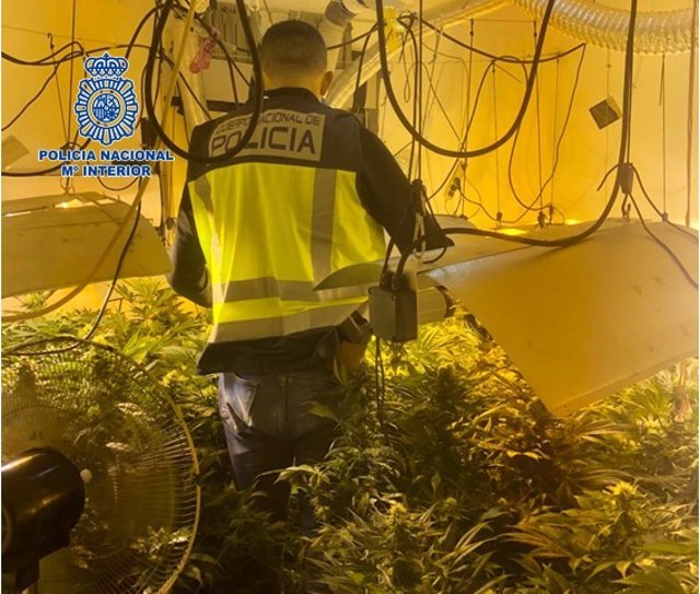 Plantación de marihuana 'indoor' en Alcalá, al lado de una comisaría.