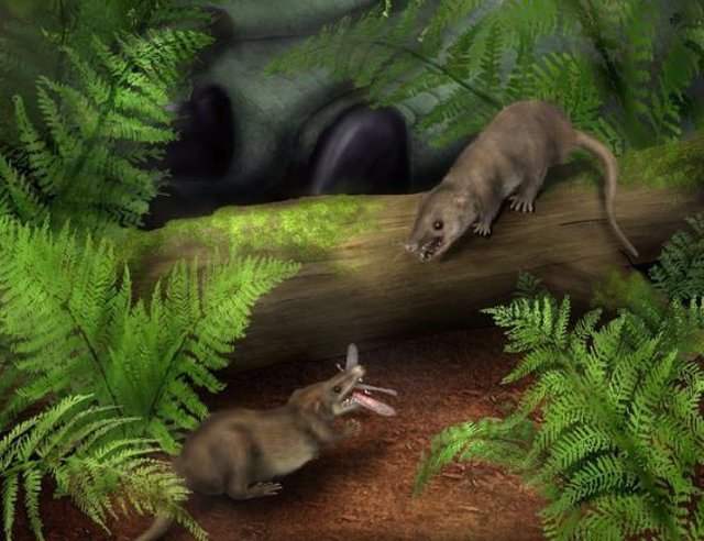 Reconstrucción artística de los primeros ancestros de los mamíferos (especie: Hadrocodium wui) que muestra la caza de presas de insectos, lo que ilustra cómo la adopción de una dieta insectívora y la miniaturización jugaron un papel importante en los mamí