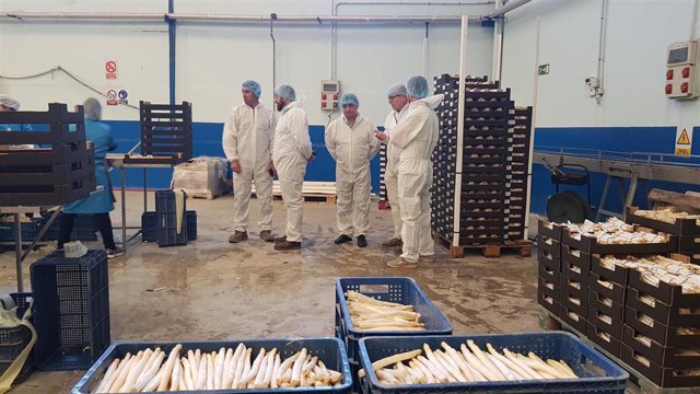 Visita a Colmena Verde