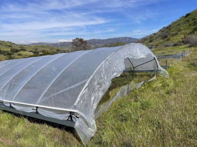 Una foto de una estructura al aire libre que se construyó para reducir la lluvia en el Experimento de cambio global de Loma Ridge en Irvine donde los investigadores están estudiando cómo la sequía afecta las comunidades microbianas del suelo
