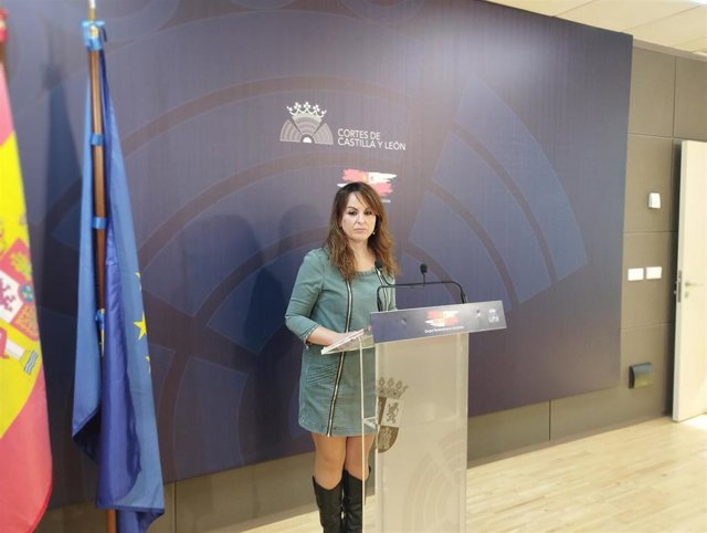 La viceportavoz del PSCyL, Patricia Gómez.