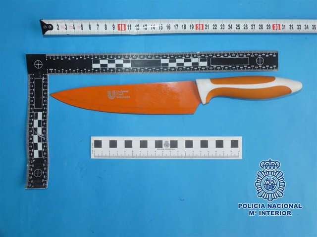 Cuchillo de cocina con el que presuntamente se produjo la lesión
