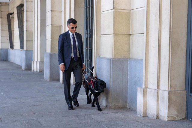 El magistrado de la Audiencia de Sevilla Luis de Oro-Pulido, acude con su perro guía a la Audiencia Provincial