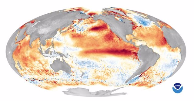 Este mapa mundial muestra anomalías en la temperatura de la superficie del mar durante uno de los eventos de El Niño más fuertes registrados en 2016. Las áreas rojas indican temperaturas oceánicas más cálidas que el promedio.