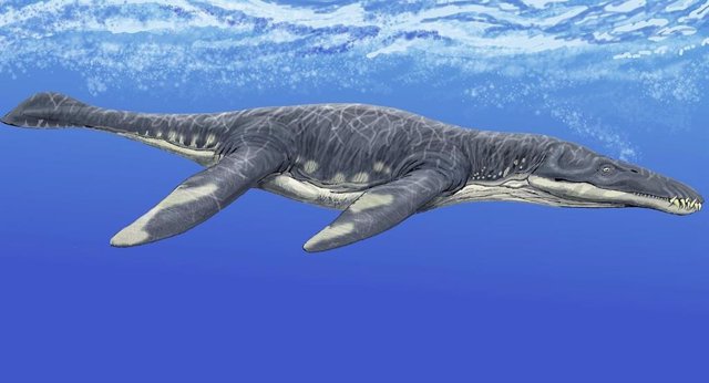 Liopleurodon ferox