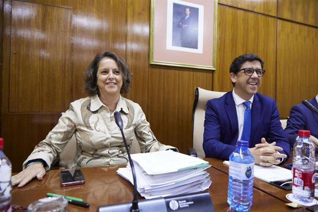La consejera de Salud y Consumo de la Junta de Andalucía, Catalina García, comparece en la comisión de Salud y Consumo en el Parlamento de Andalucía, a 19 de abril de 2023 en Sevilla (Andalucía, España). 
