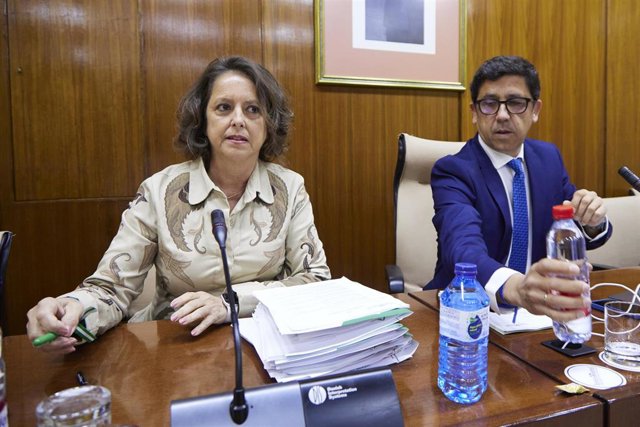 La consejera de Salud y Consumo de la Junta de Andalucía, Catalina García, comparece en la comisión de Salud y Consumo en el Parlamento de Andalucía, a 19 de abril de 2023 en Sevilla (Andalucía, España).