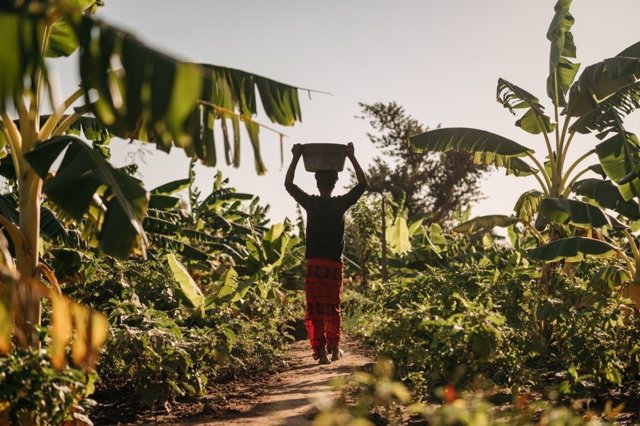 AUARA construirá dos pozos de agua potable en Mozambique gracias a los beneficios que obtenga AVEDA en su #MesdelaTierra