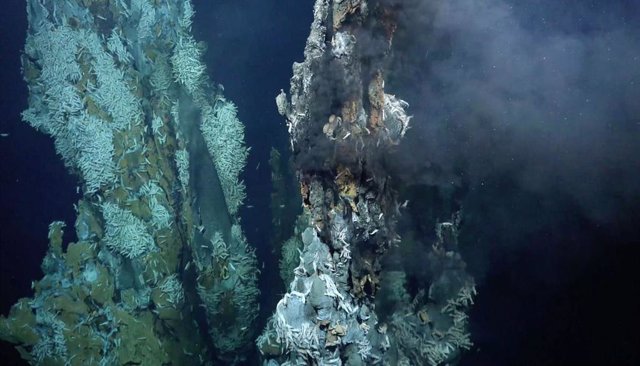 Respiraderos hidrotermales