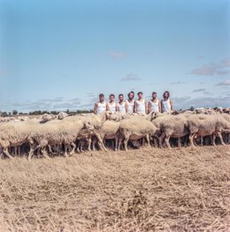 Archivo - LA MARAVILLOSA ORQUESTA DEL ALCOHOL