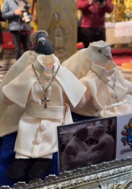 Archivo - Palomas disfrazadas en la festividad de la Candelaria.