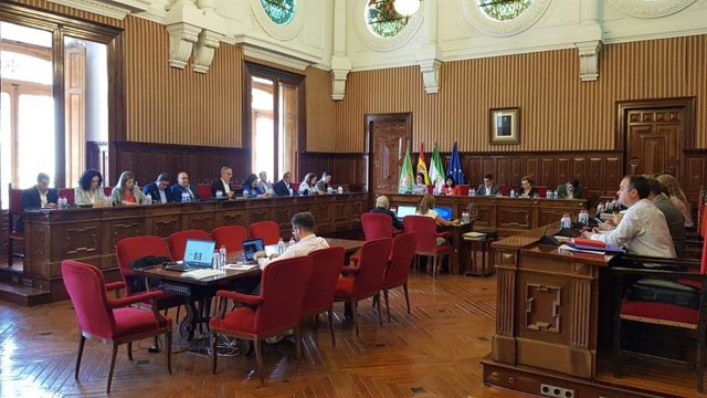 Celebración del pleno