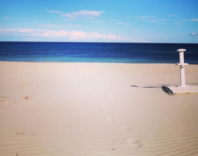 Imagen de archivo de la playa de Las Higuericas de Pilar de la Horadada (Alicante).