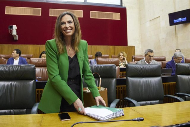 La consejera de Fomento, Rocío Díaz, en una imagen de archivo en el Pleno del Parlamento. 
