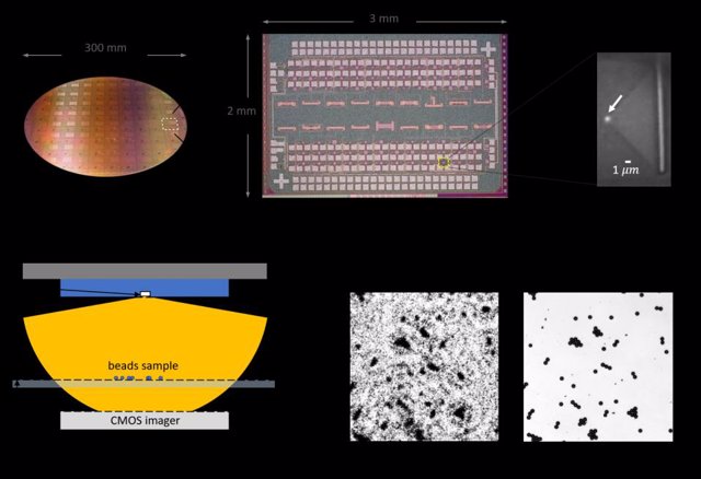 a) Oblea de 300 mm completamente fabricada (b) Primer plano del troquel del chip (c) Micrografía infrarroja con el LED encendido (d) Microscopio holográfico (e) Primer plano de la imagen holográfica reconstruida (f) Verdad del suelo.