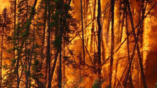 Archivo - Imatge d'un incendi boreal al Canadà