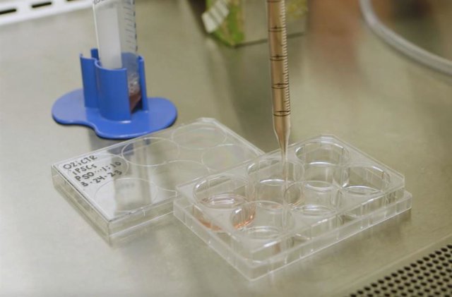 Por primera vez los astronautas produciran células madre pluripotentes inducidas en microgravedad