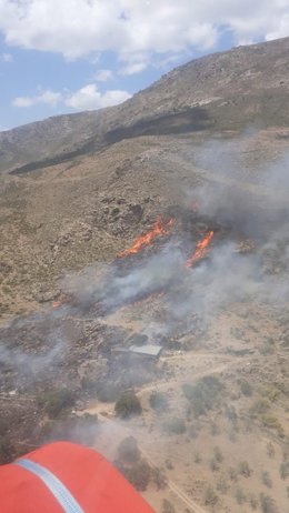 Incendio forestal en Güéjar Sierra.