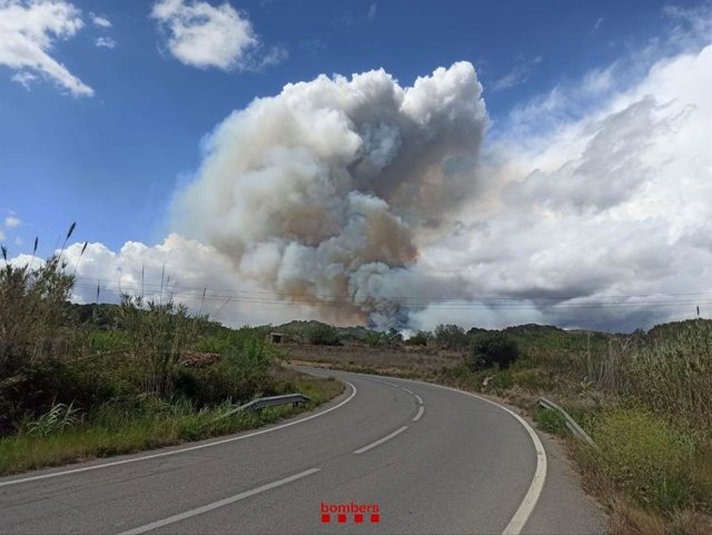 Imatge del foc a Bonastre (Tarragona)