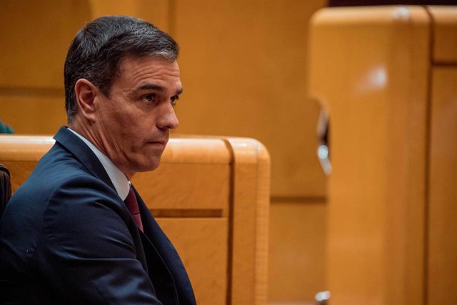 El presidente del Gobierno, Pedro Sánchez, durante una sesión plenaria en el Senado.