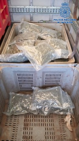 Droda descubierta en el interior del camión intervenido