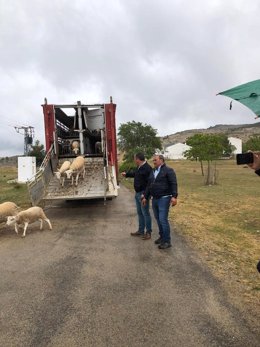 Visita a ganaderos trashumantes a su paso por la aldea de Poyotello.